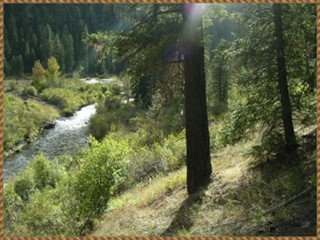Wenaha River, Western Life Outfitters, South East Washington Horse Pack Trips Bow Elk Deer Bear Hunting Guides Wenaha Tucannon Wilderness